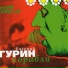 Евгений Гурин, Корсар