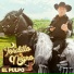 Tordillo Negro
