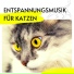 Katzenklo