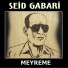 Seid Gabari