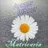 Ansgar Ritter