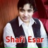 Shafi Esar