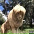 Mufasa