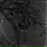 False Rain