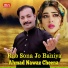 Ahmad Nawaz Cheena