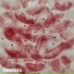 TIMESIX