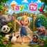 Taya TV