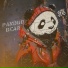 PanDub Bear