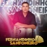 Fernandinho Sanfoneiro