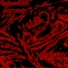 r1zedx coqqewade, wxrthlesscvt