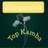 Top Kamba