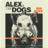 Alex and the Dogs