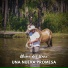 Chimú del Llano