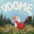 VDOME