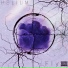 Helium Fly feat. Maeking