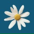 DISA