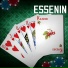 Essenin