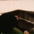 MIKSERJDI