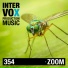 Citokid, Intervox Music