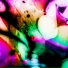 LetDose