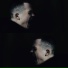 AZANOV