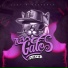 Licy B