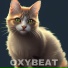 Oxybeat