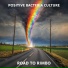 Positive Bacteria Culture
