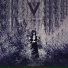 VV & The Void