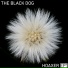 The Black Dog