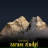 Saleem Shahzad