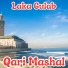 Qari Mashal