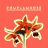 Pomplamoose
