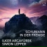 Ilker Arcayürek, Simon Lepper