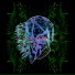 All Them Witches