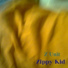 Zippy Kid