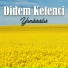Didem Ketenci