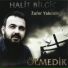 Halit bilgiç