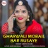 Hinesh Sahu feat. kesari sahu
