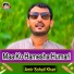 Amir Sohail Khan