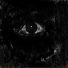 N!GHTvisiøn