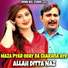 Allah Ditta Naz