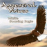 White Soaring Eagle