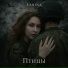 Larina