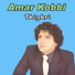 Amar Kobbi