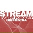 Evgeny Pobozhiy Orchestra