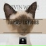 Vivin White