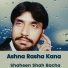 Shahenshah Bacha