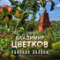 Владимир Цветков
