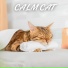 Cat Relaxing Master